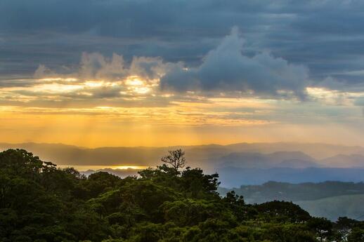© Unsplash - James Ting Réserve Monteverde