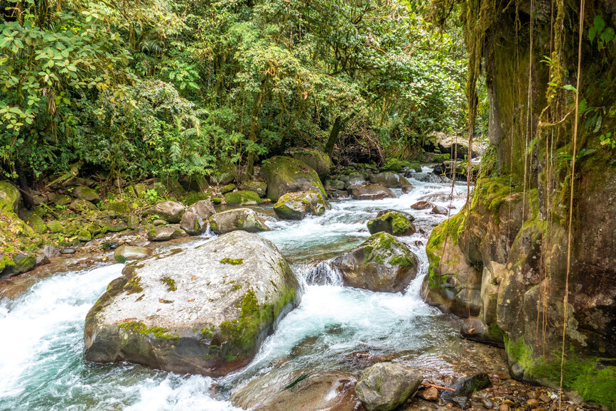 © Shutterstock - travelview Réserve Cloudbridge