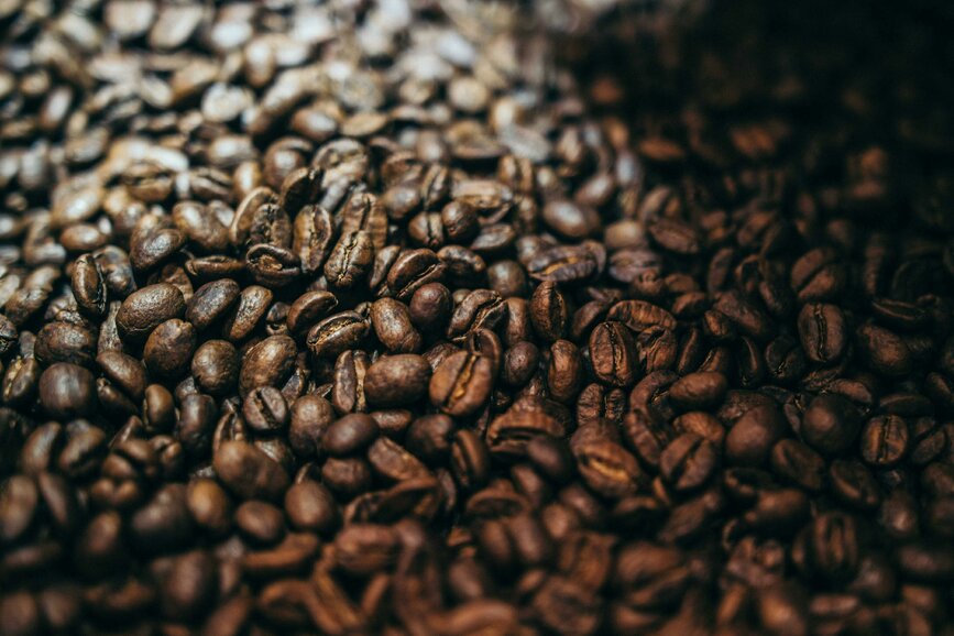 © Unsplash - Caleb Minear Visite d'une ferme de café au Costa Rica