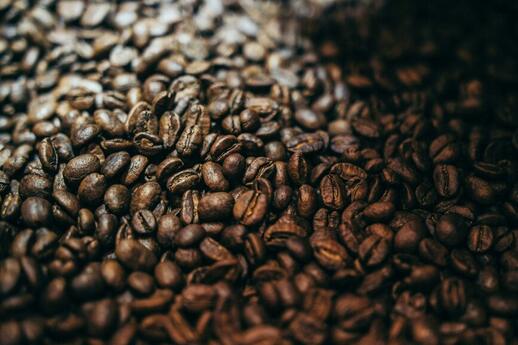 Visite d'une ferme de café au Costa Rica