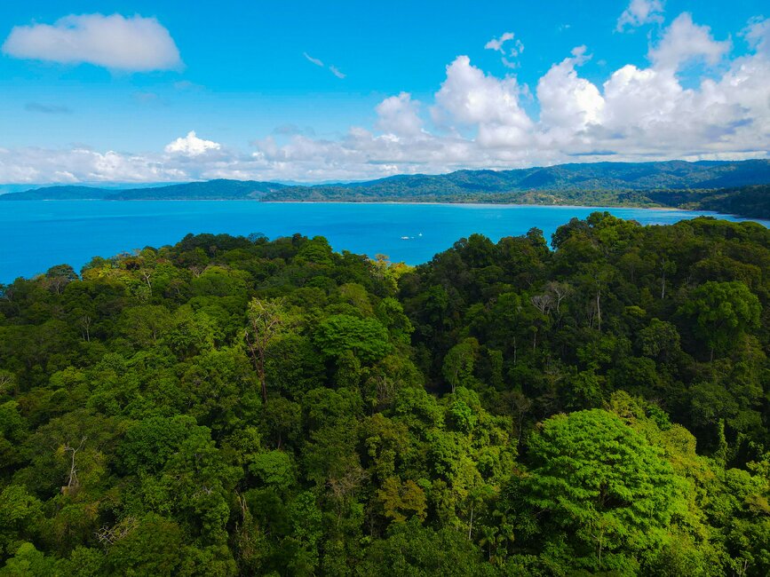 Parc national Corcovado, Drake Bay