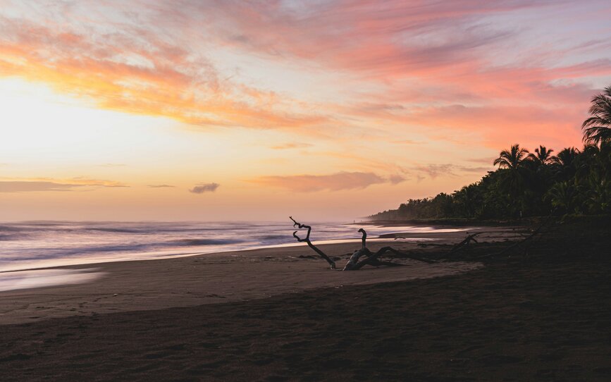 © Unsplash- Etienne Delorieux A la découverte de Tortuguero, ses canaux et observation des animaux