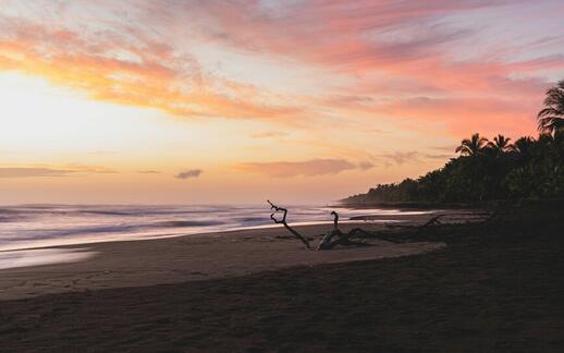 A la découverte de Tortuguero, ses canaux et observation des animaux