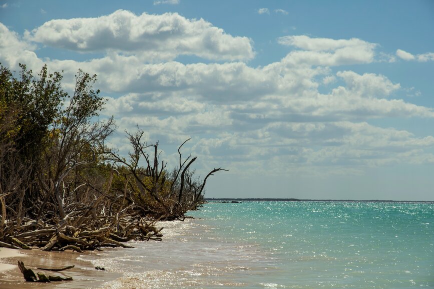 © Unsplash - Robin Canfield Cayo Jutias