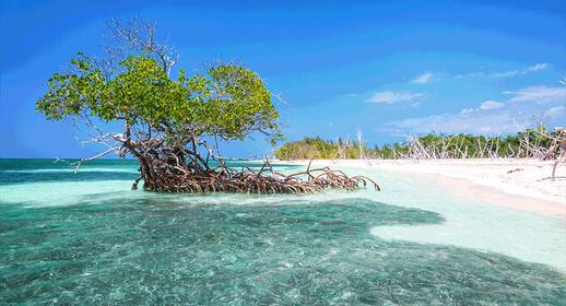 Cayo Levisa