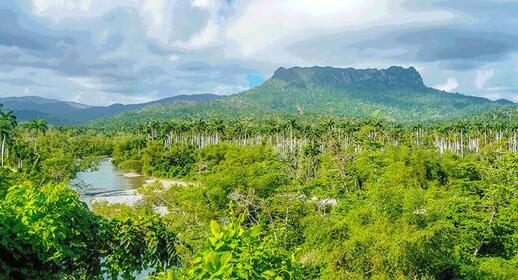 © IStock - Ondrej Bucek El Yunque
