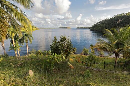 © Shutterstock - rweisswald Parc Alexandre Humboldt