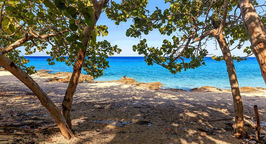 © IStock - rpeters86 Plongée - Maria la Gorda