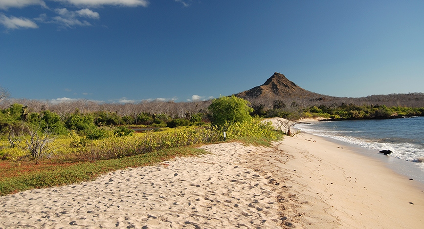 © IStock - kgrahamjourneys Island Hopping Galapagos