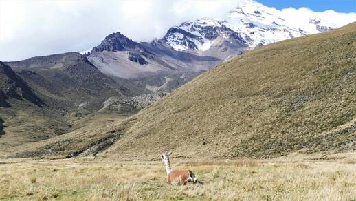 © Unsplash - Joris Beugels Parc National du Chimborazo