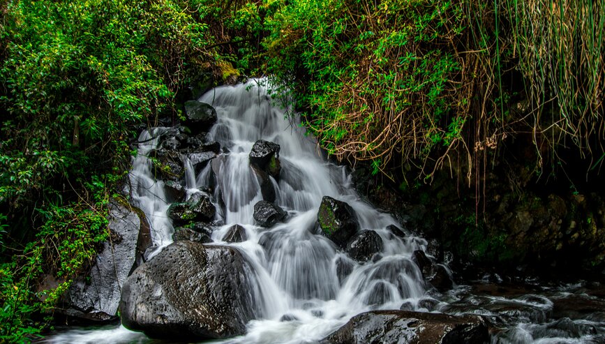 © Unsplash - Jose Rueda Peguche