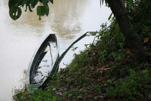 Misahualli (Amazonie secondaire)