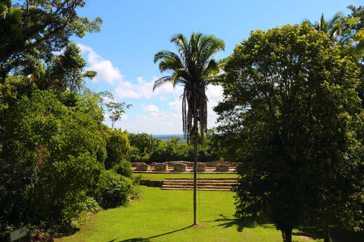 © Shutterstock - Judith Lienert Visite du site Aguateca