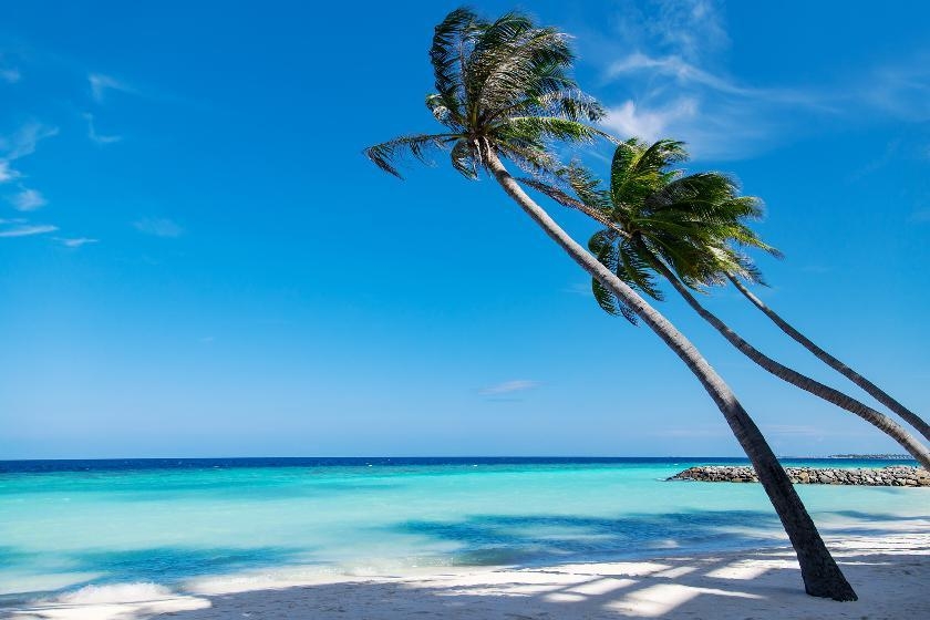 © IStock - kurmyshov Cayo Sapotillo (Belize)