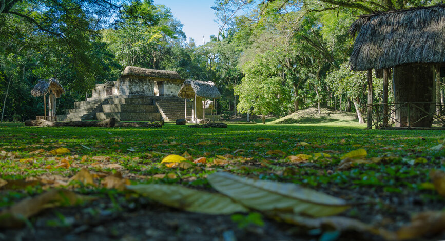 © Shutterstock - Milton-Sosa Visite du site Ceibal