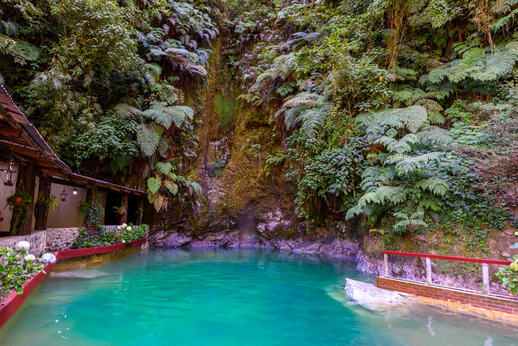Fuentes Georginas