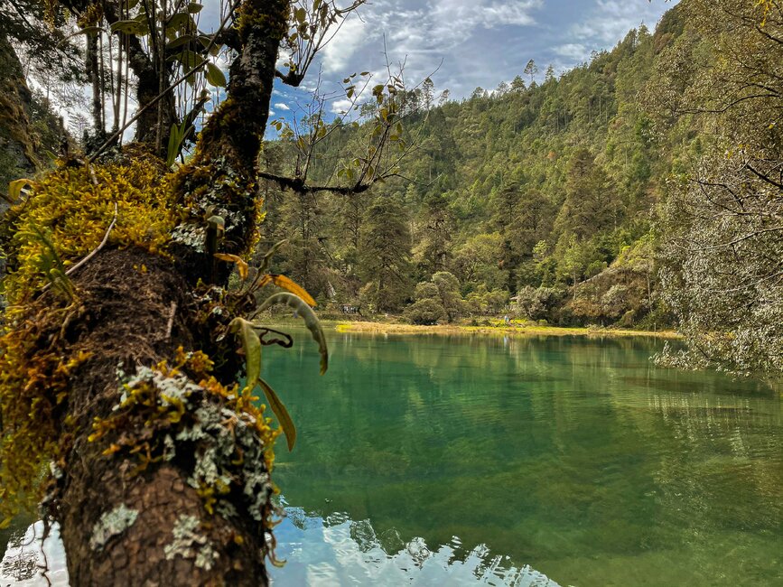 © Unsplash- Jose Fajardo Huehuetenango