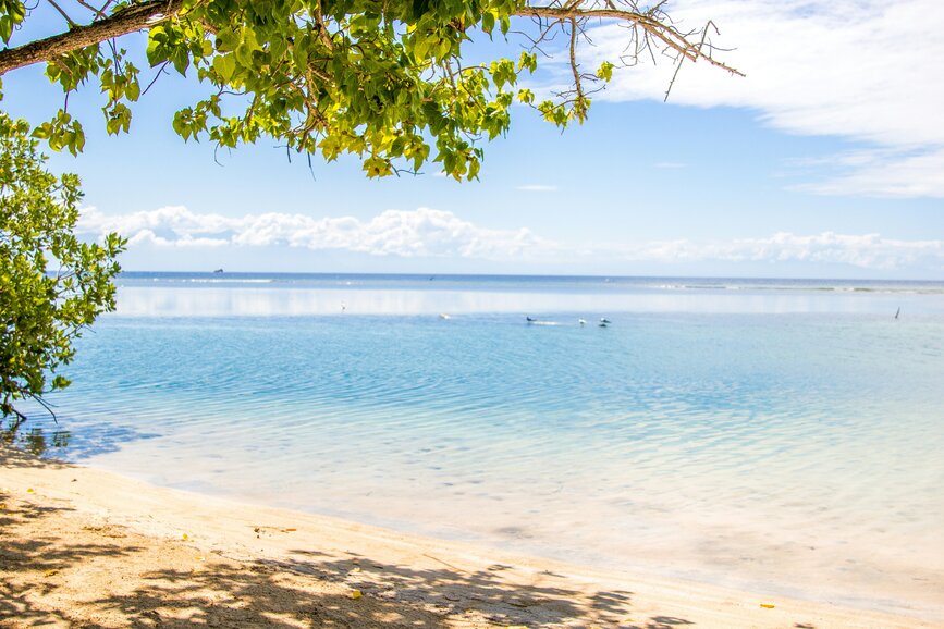 © Unsplash -Ana Lanza Ile d'Utila