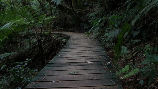 Parc national de La Tigra