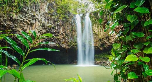 © Shutterstock - EpicStockMedia Une fontaine dans le Parc National Pico Bonito
