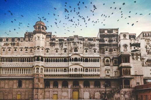 © Unsplash -Alok Sharma Bikaner