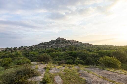 © Shutterstock - AbhishekMittal Aravalli