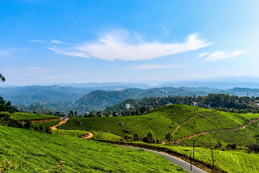 © Unsplash - gaurav kumar Munnar