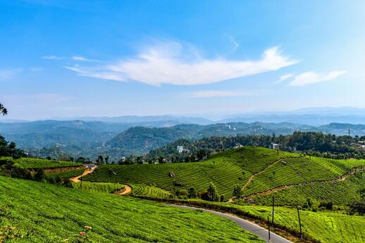 © Unsplash - gaurav kumar Munnar