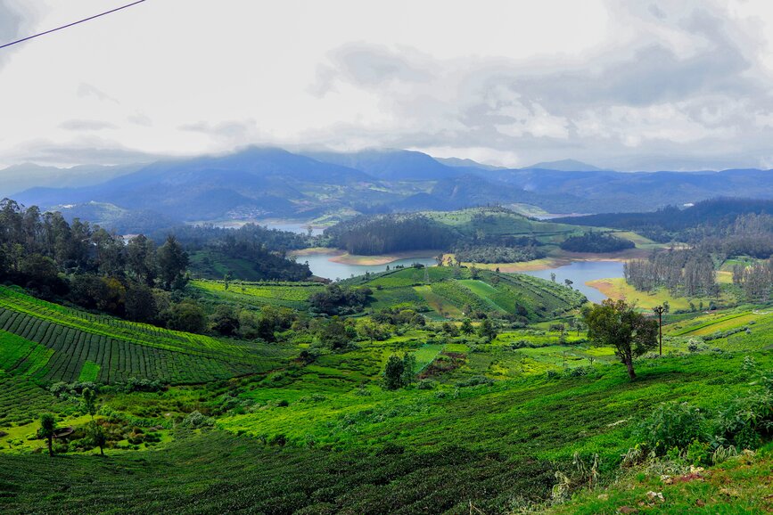 © Unsplash -mugi jo Ooty, Inde