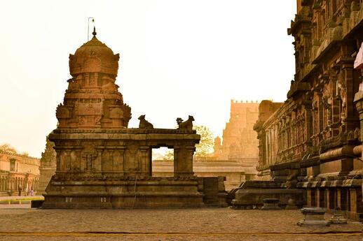 Visiter Thanjavur