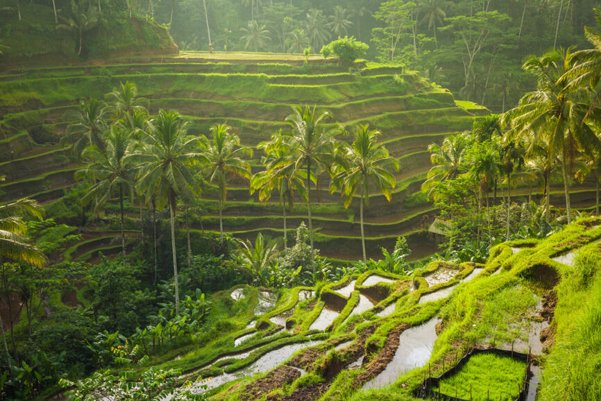 Voyage sur-mesure à Bali