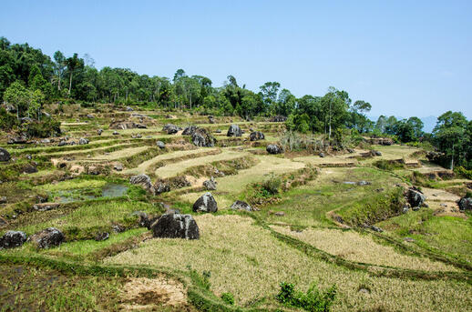 Villages traditionnels