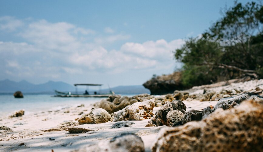 © Unsplash - Jannes Glas l’île de Menjangan