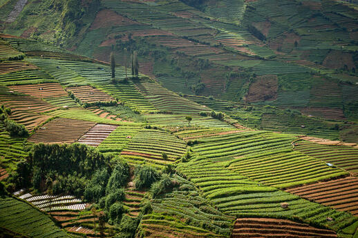 Plateau de Dieng