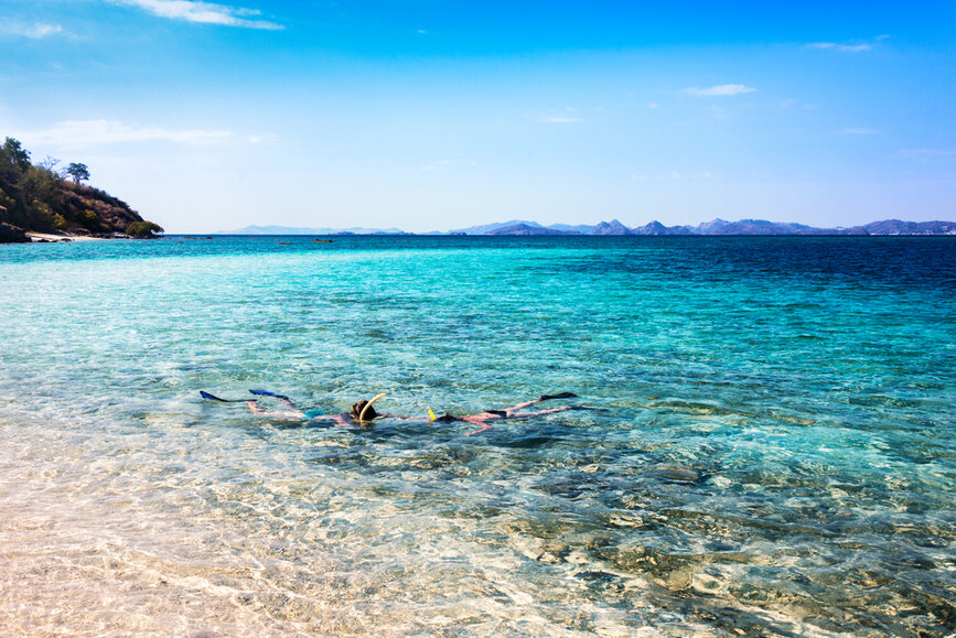 © Shutterstock - Clara_C Fonds marins