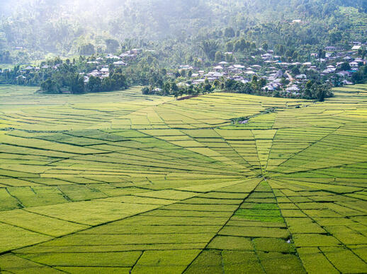 Terraces de Rizières de Ruteng