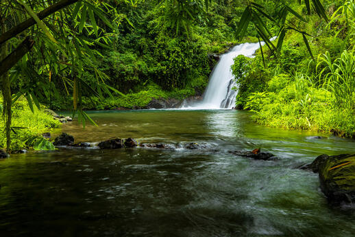 Cascade Bali