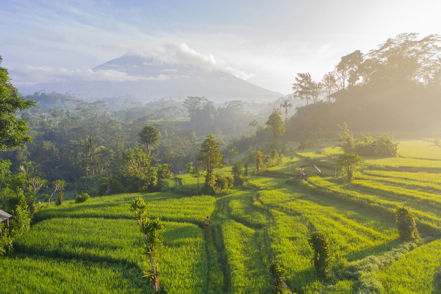 © Unsplash - Geio Tischler Sidemen