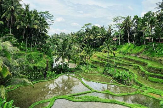 Ubud en Indonésie