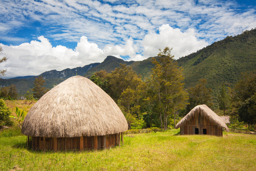 © Shutterstock - sunsinger Vallée du Baliem