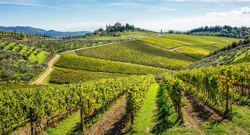 Chianti