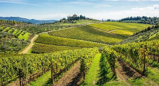 Chianti