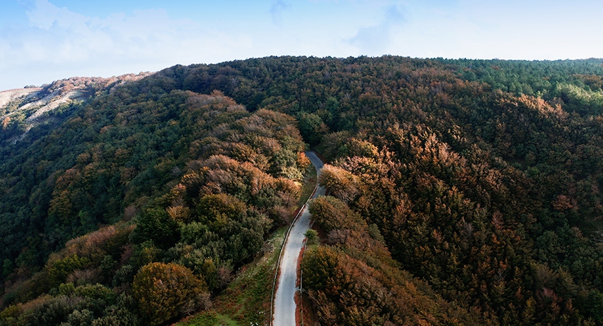Aspromonte
