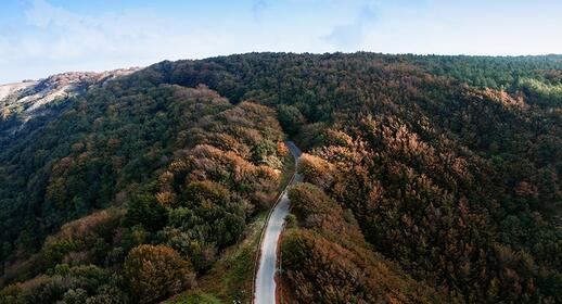 Aspromonte