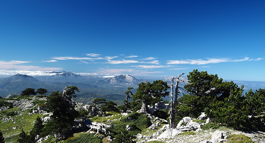 Parc National de Pollino