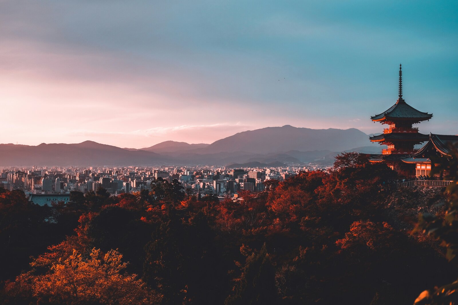 ©Unsplash - Su San Lee