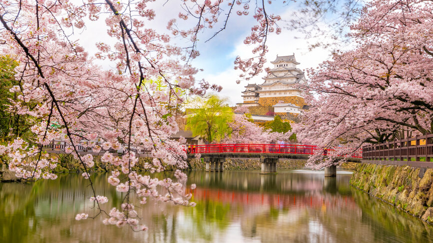 © Shutterstock -f11photo Château d'Himeji