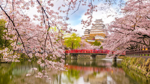 © Shutterstock -f11photo Château d'Himeji