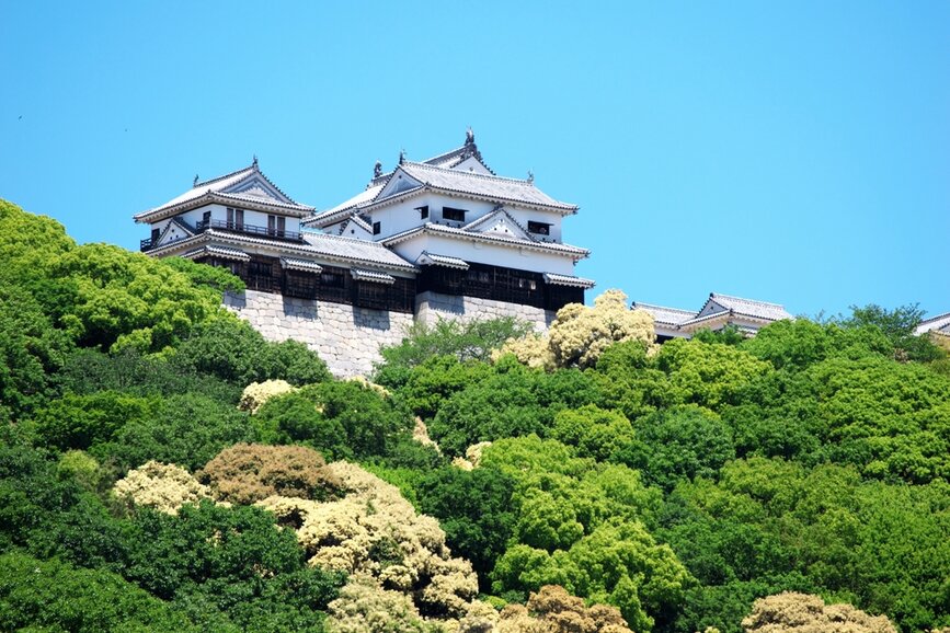 © Shutterstock - yutayama Le château de Matsuyama