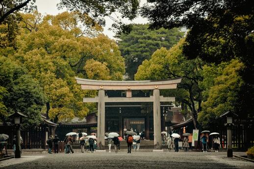 © Unsplash - aestelle Le sanctuaire Meiji-jingu